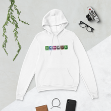 Load image into Gallery viewer, Ca.N.Na.B.I.S Unisex hoodie | CIA Cannabais Incognito Apparel - CIA (Cannabis Incognito Apparel)