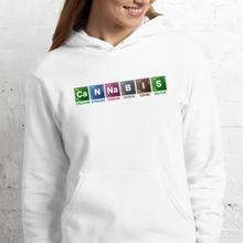 Load image into Gallery viewer, Ca.N.Na.B.I.S Unisex hoodie | CIA Cannabais Incognito Apparel - CIA (Cannabis Incognito Apparel)